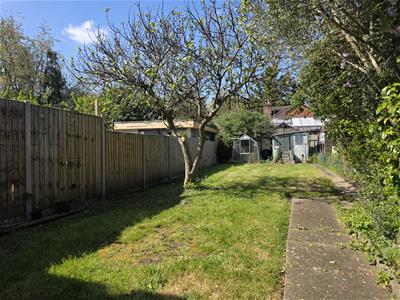 Picture 14
